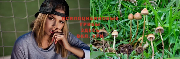 apvp Касимов