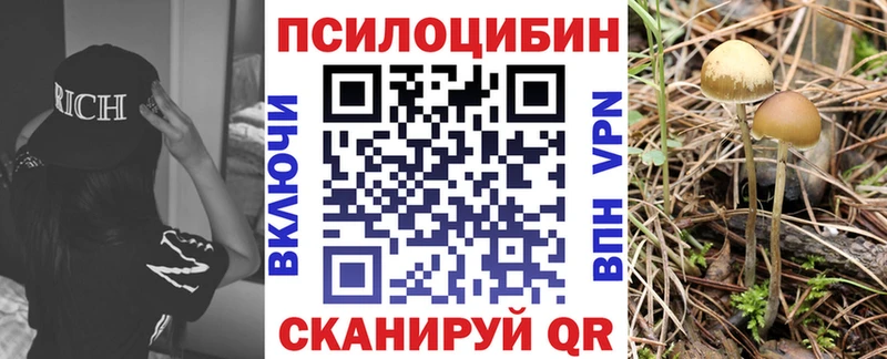 Псилоцибиновые грибы Psilocybine cubensis  MEGA как войти  Шенкурск 